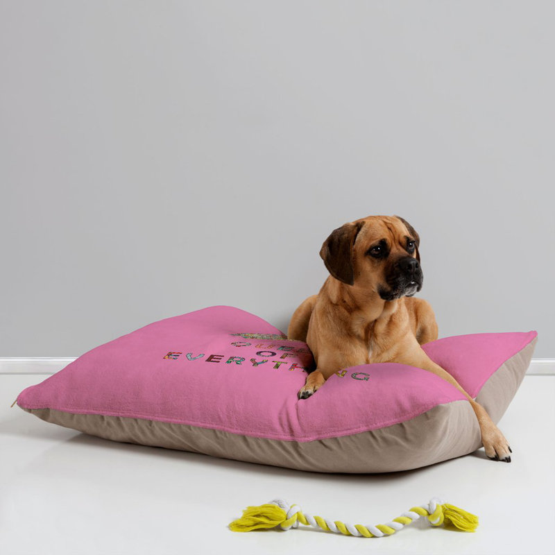 Coussin pour chien grand de everything