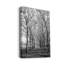 Pier a Park-reproduction de photo sur toile tendue-553266051