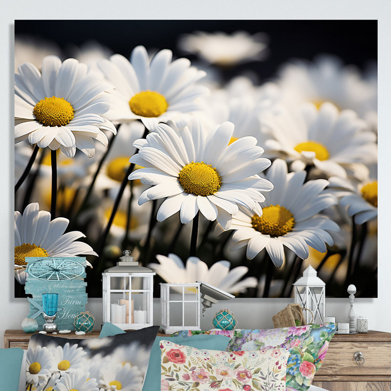 Daisies Field Sunrise I - impression, H 30 po x l 40 po x P 1,5 po, Toile tendue