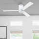 Winters 52'' 3 Blade Ceiling Fan with LED Light Kit