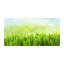 Grass - No Frame Print on Glass-362862075-362862068
