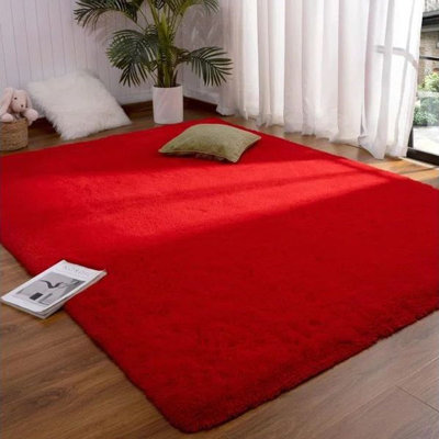 Long-haired Indoor Area Rugs