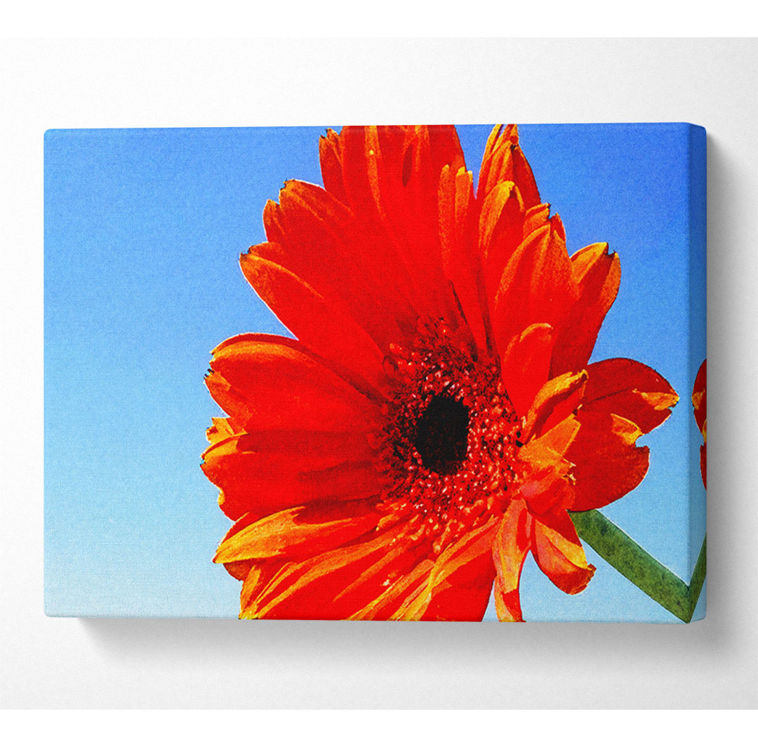 Orange Gerbera Skies - Kunstdrucke auf Segeltuch