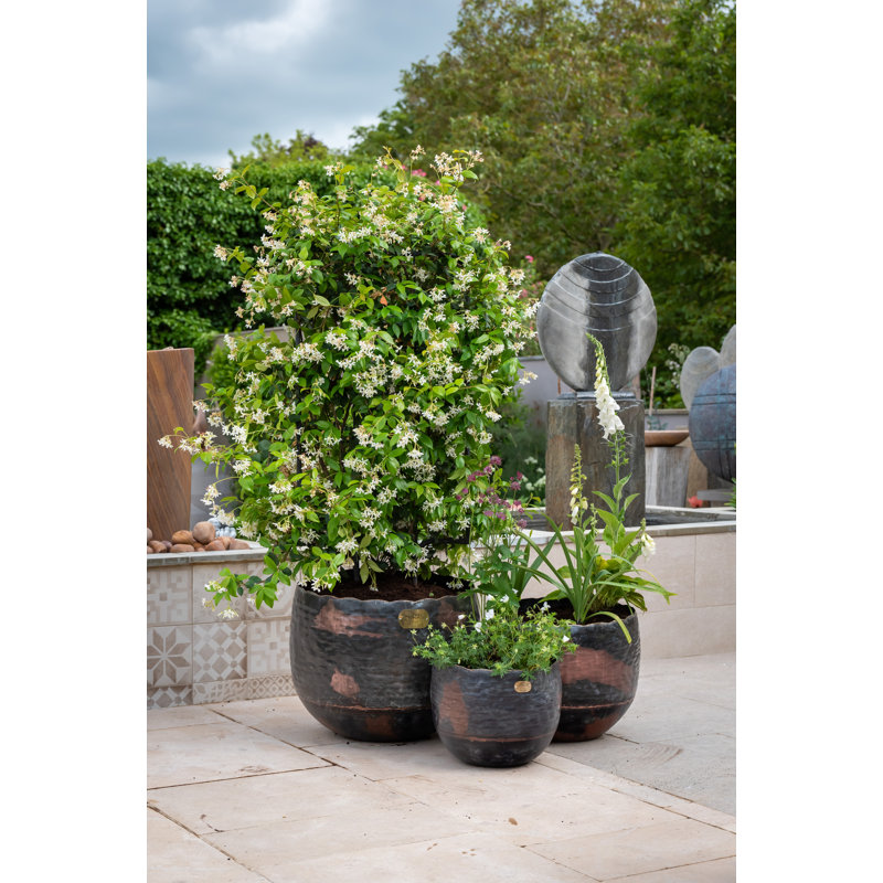 3 Pieces Plant Pot Set