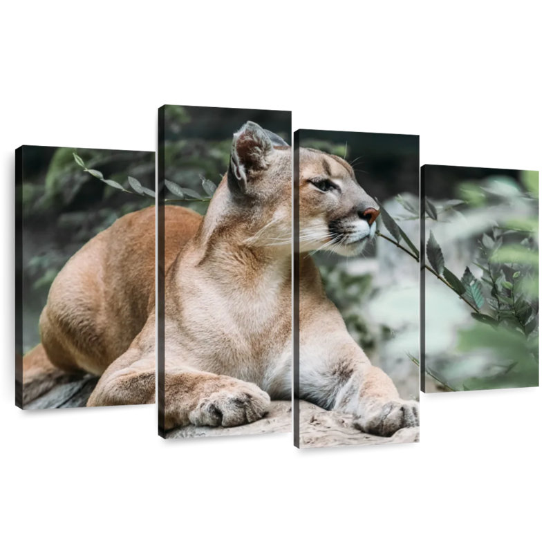 Brampt Forest Jaguar