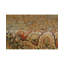 Wool Oriental Area Rug