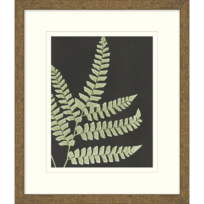 Graphic Lewis Ferns 6 Print