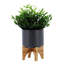 Pot à fleurs 5 "avec support en bois