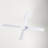 Ball 52'' Ceiling Fan with LED Lights-386566817-386566878-386566879