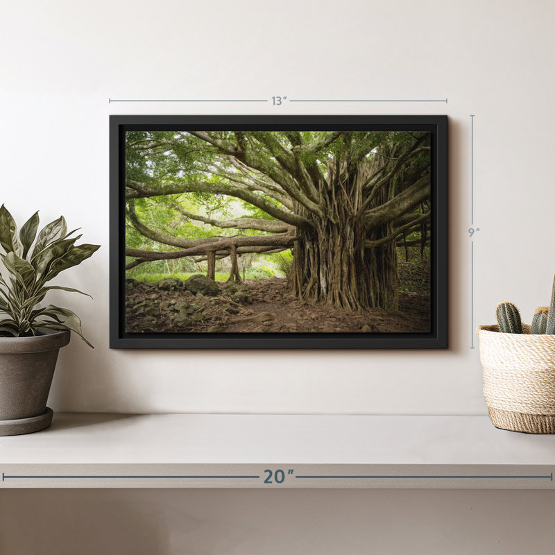 Impression sur toile Banyan Tree, H 9 po x l 13 po