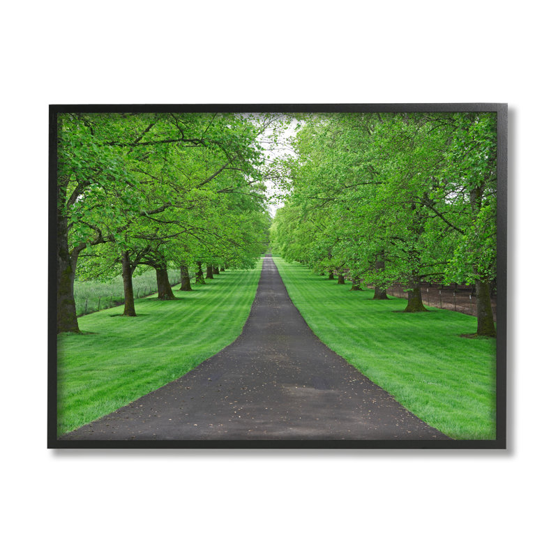 "Stupell Industries Tree Grove Path", art mural sur toile par Dennis Frates, Giclée encadrée noir minuit