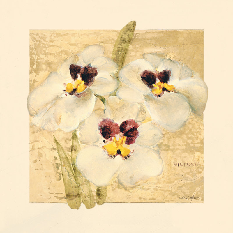 «Exotic Floral I Crop» par Cheri Blum - impression, Cadre flottant noyer, Non, H 36 po x l 36 po x P 1,25 po