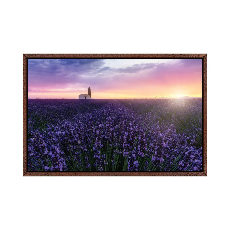 Bees At Sunrise by Fabio Antenore - Print on Canvas, 101.6 cm H x 66.04 cm W, Classic Wood Framed