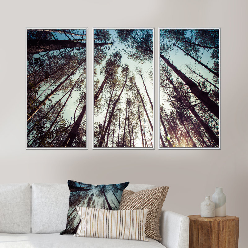 High Forest Trees and Blue Sky - ensemble d'art mural sur toile traditionnel encadré de 3, H 28 po x l 36 po x P 1 po, Blanc