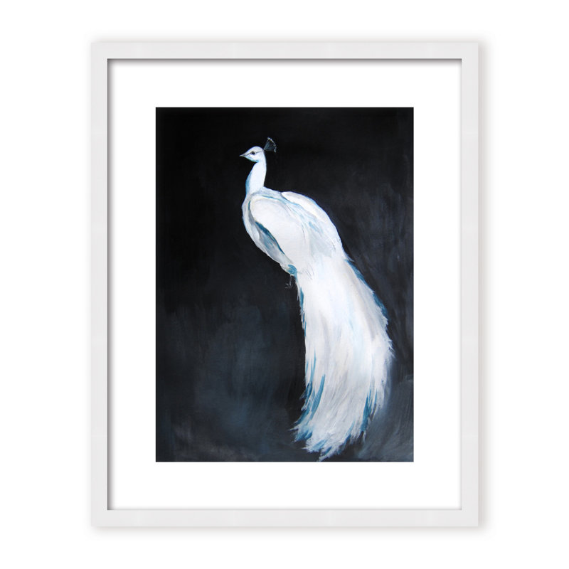 Nature Inspired Alabaster Majesty: White Peacock Against The Night, Framed Matted Print, 30" H x 24" W x 1.125" D, Black
