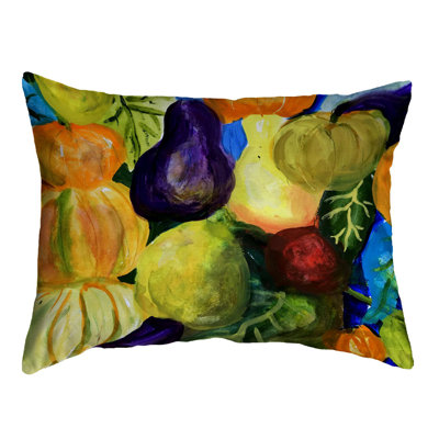  Housse et insert de coussin d'extérieur pour l'extérieur