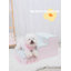 Escalier princesse pour animaux