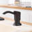 Built In Sink Soap Dispenser Or Lotion Dispenser For Kitchen Sink, ABS Pump Head, With 17 Ounce PET Large Soap Bottle-112478449
