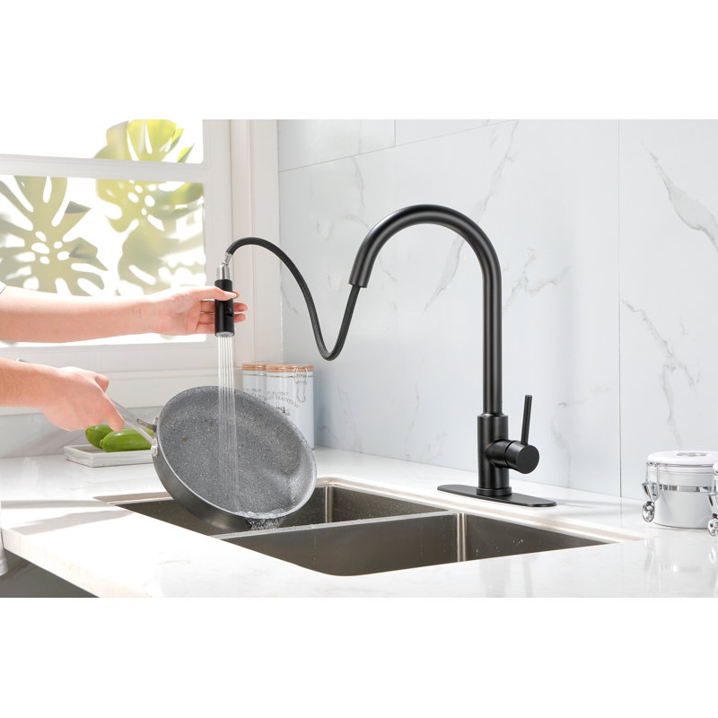 Kitchen Faucet With Pull Down Sprayer, Matt Black