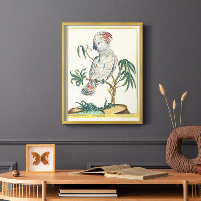 «Pastel Birds II», reproduction encadrée - bois massif