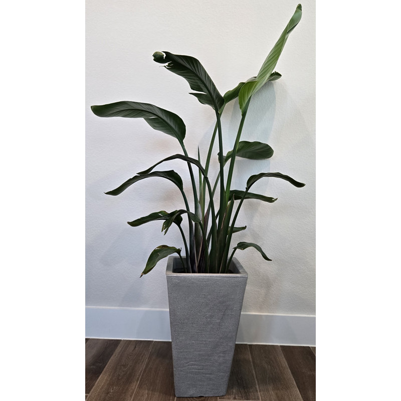 Manhattan moyen, H 22 po x l 14 po x P 14 po, Gris