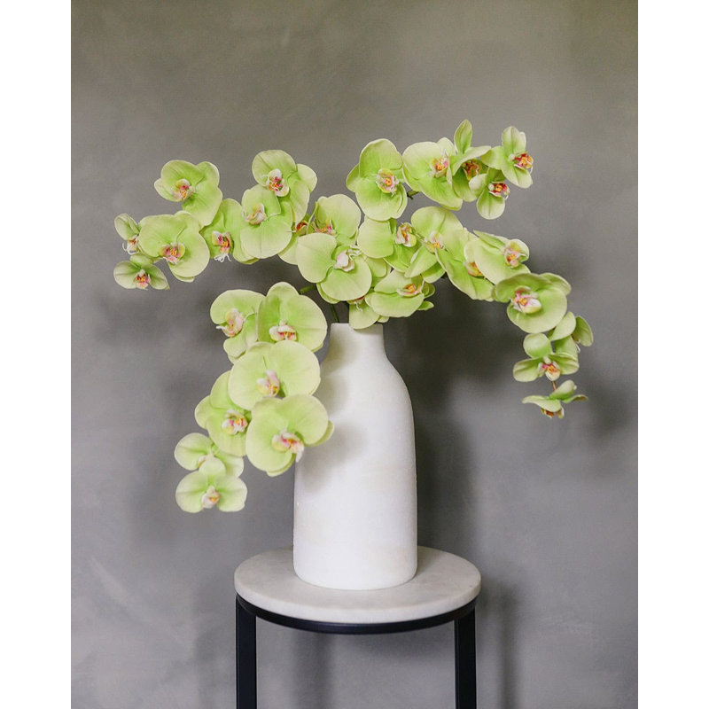 Green Phalaenopsis Orchid 33", Green, 33" H x 3" W