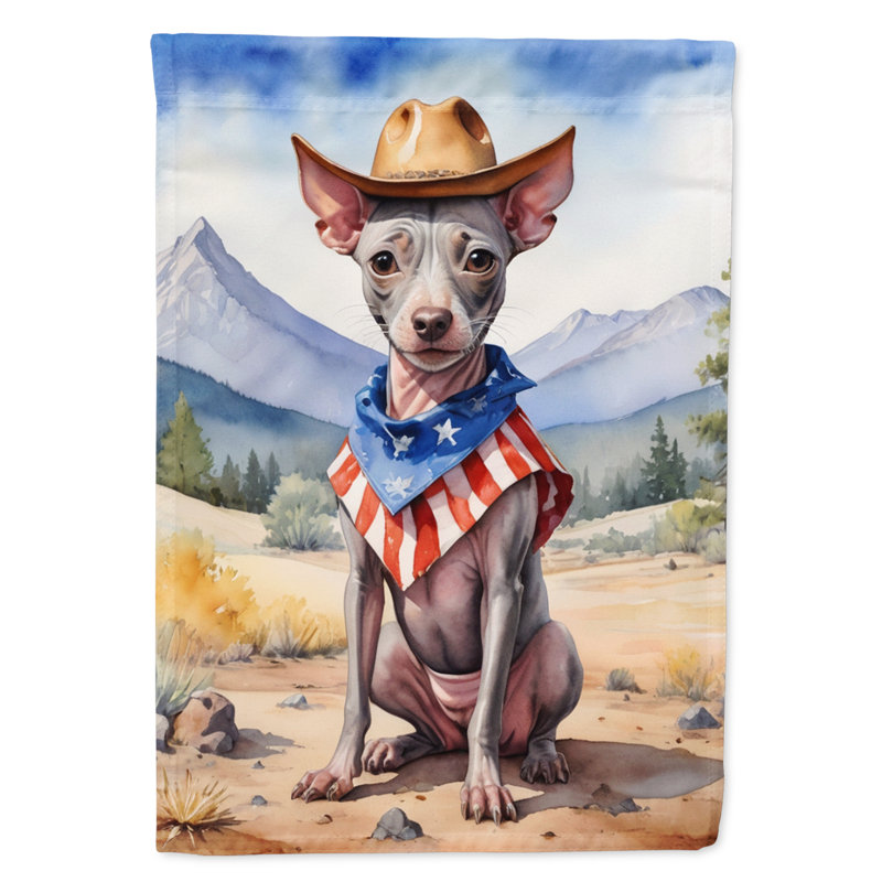 Drapeau Cowboy Welcome Garden, Terrier américain sans poil