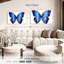 Papillon bleu cosmique Brampt-108007565