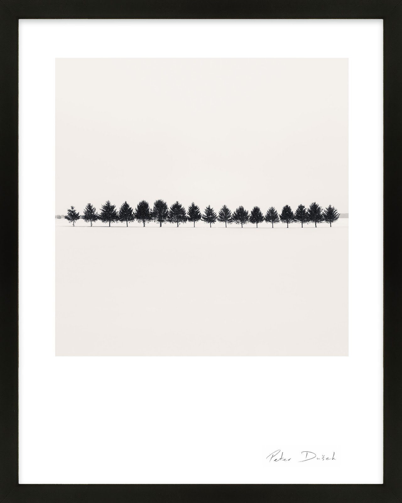 Seventeen Trees by Peter Dušek, Black, 25" H x 20" W x 1.25" D
