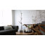 Branche décorative