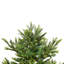 Pre-Lit Full Oregon Noble Fir Artificial Christmas Tree - Warm White LED Lights-595752396