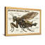 Impression de motif mante mécanique Steampunk-467349166-467349153-467349165