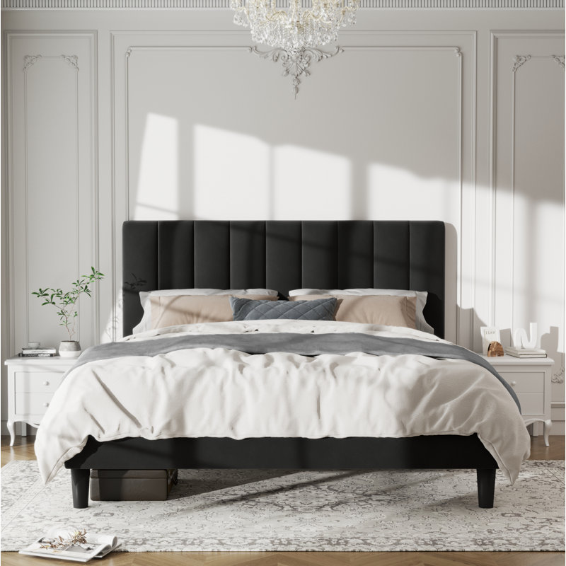 Jerrine Velvet Upholstered Platform Bed, Full / Double, Black