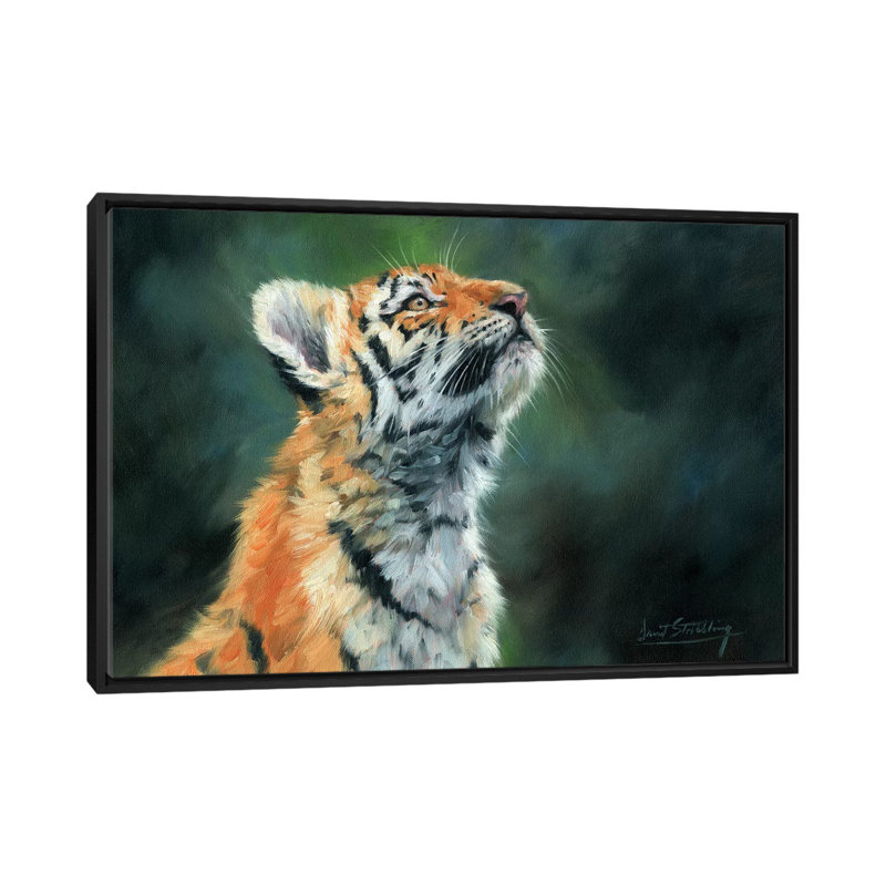 « tiger cub look up », impression sur toile, H 18 po x l 26 po x P 1,5 po, Toile avec cadre noir, Pas de tapis