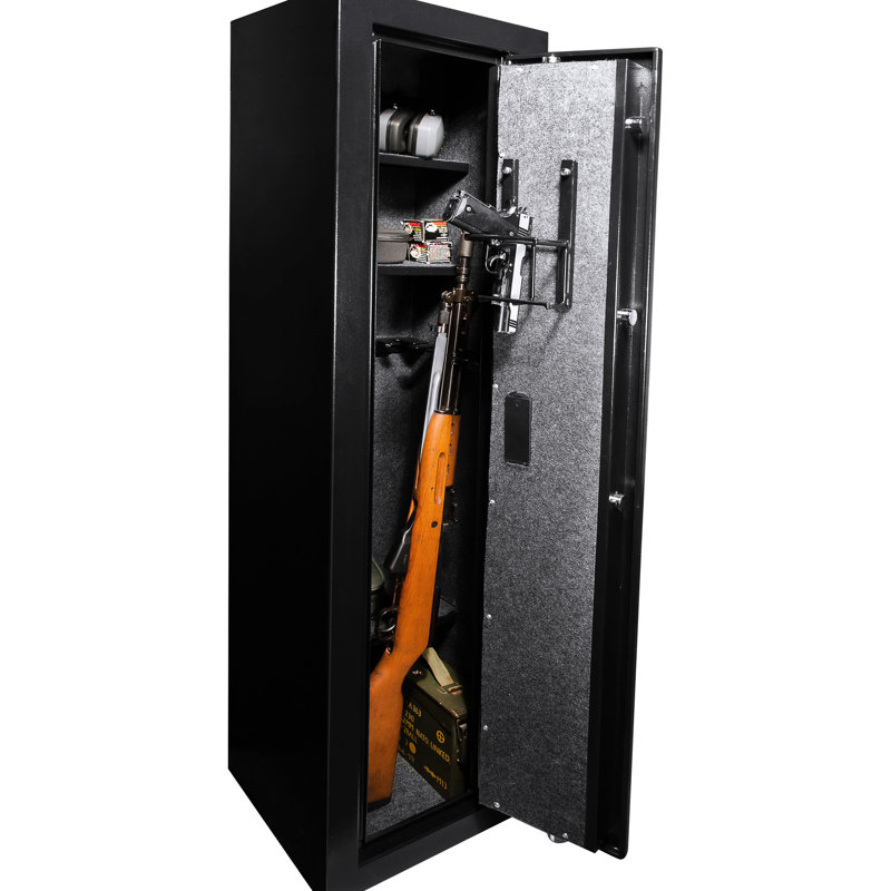 Armoire biométrique 5,51 pi cubes - mode silencieux pour rangement noir
