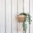 Shiloh Plant Stand