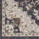 Oriental Indoor / Outdoor Rug