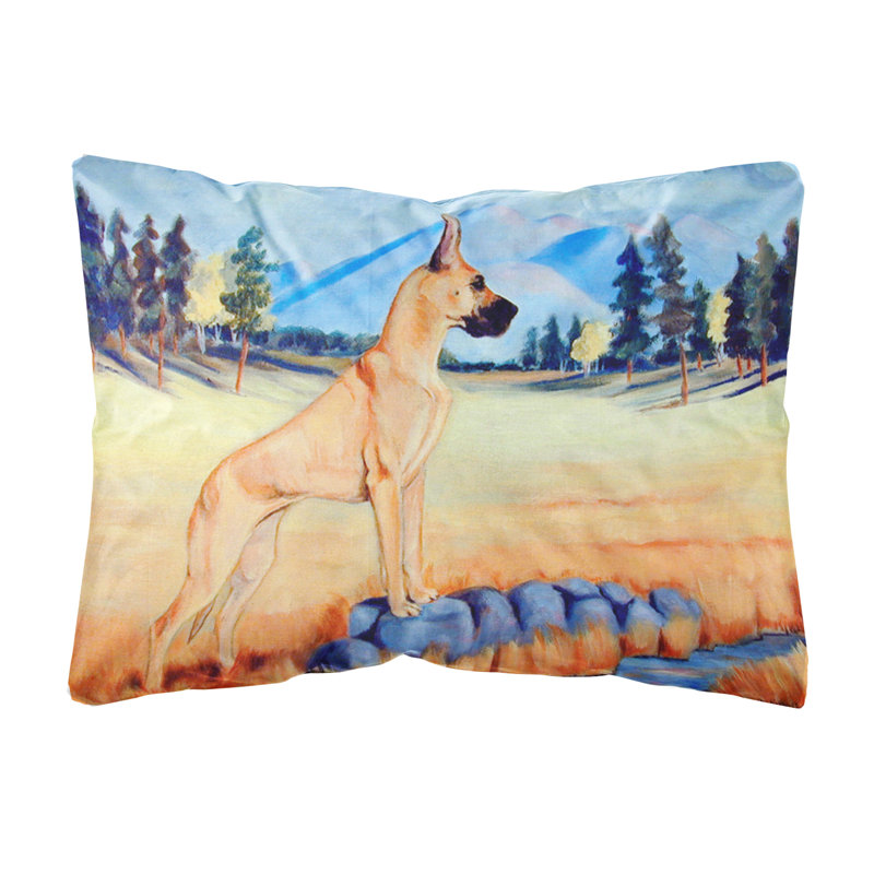 Coussin décoratif intérieur/extérieur magnifique