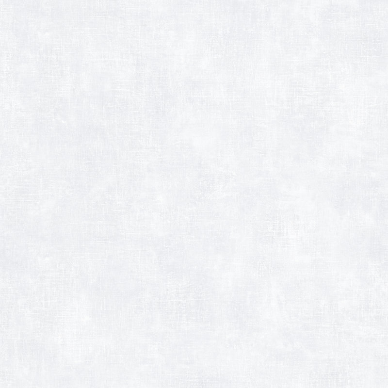  Rouleau de papier peint L 33 pi x l 20,5 po, L 33 po x l 20,5 po, Gris
