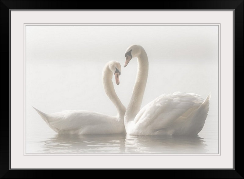 «Straub Forever» par Monika Schwager - reproduction de photo, H 28 po x l 38 po x P 1 po, Cadre noir