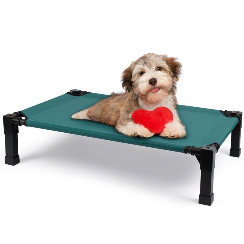 Lit pour chien Cooling Elevated, H 7,4 po x l 35,2 po x P 25 po, Vert