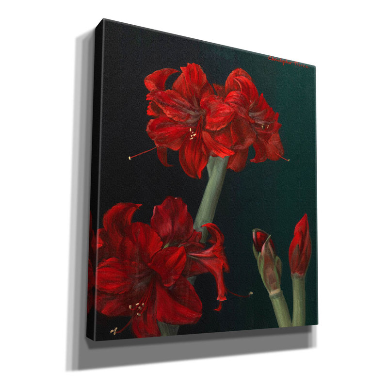 «Amaryllis Amigo» par Christopher Pierce, art mural sur toile, H 30 po x l 26 po x P 1,5 po