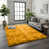 OCHRE