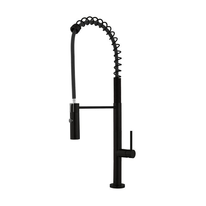 Chalet Single Handle, Pull-Down Kitchen Faucet, Matte Black