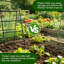176cm H x 41.34cm W Iron + Nylon Mesh Trellis