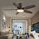 Laurenzia 122cm Ceiling Fan with LED Lights