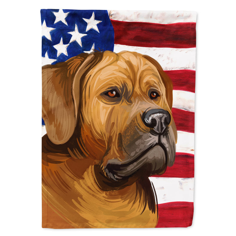 Double Sided 40'' H x 28'' W Polyester Independence Day House Flag, Tosa