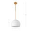 Tivoli 1-Light Dome Pendant Light-1329960463-1329960460
