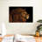 Brampt Marvelous Lion Head-108690077