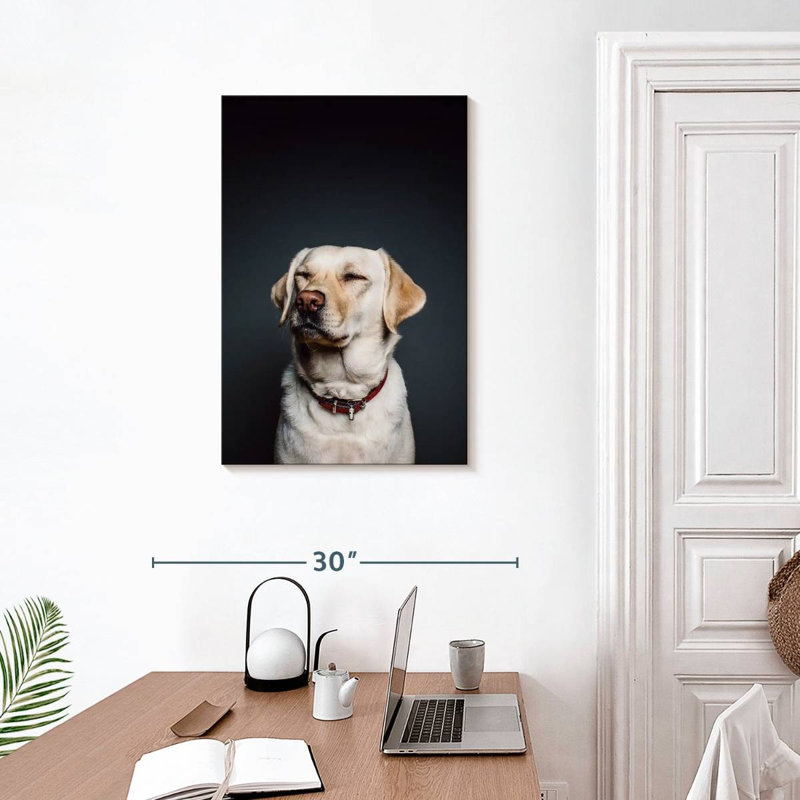 Brampt loufoque le Labrador, H 30 po x l 20 po